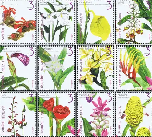 New Year 2016 (I): Family Zingiberaceae (MNH)