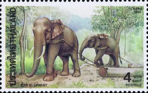 Indian Elephant (MNH)