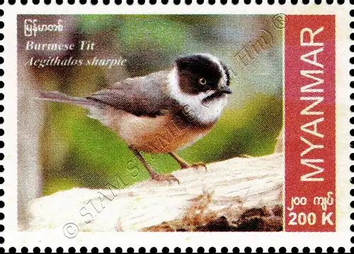 Endemic Birds: Burmese Tit (MNH)