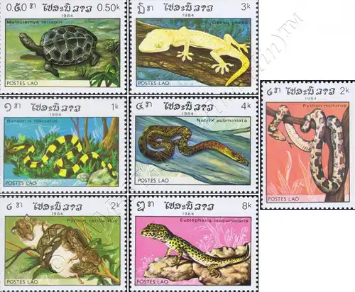 Reptiles (II) (MNH)