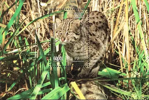 Fishing Cat (342A) (MNH)