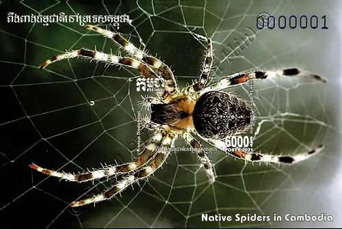 Einheimische Spinnen (365A-366B) (**)
