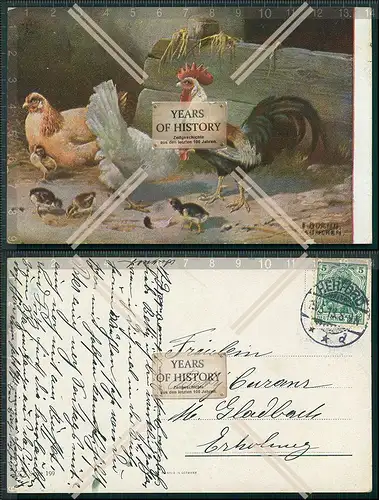 AK Künstler Hühner und Küken Stall Ansichtskarte Postkarte verschiedene Moti