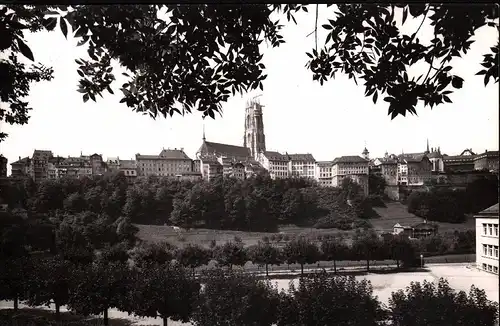 großes Foto Freiburg / Fribourg , 233x173mm !!!