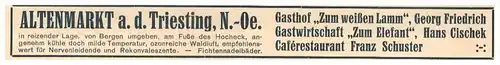 original Werbung - 1927 - Gasthof in Altenmarkt a.d. Triesting , Niederösterreich !!!