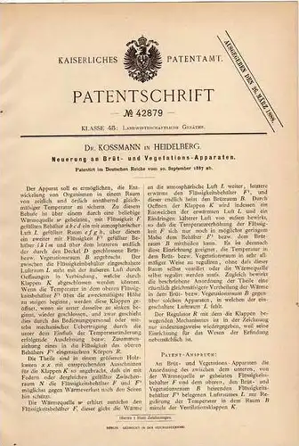 Original Patentschrift - Dr. Kossmann in Heidelberg , 1887 , Brütapparat für Tiere , Brüten , Tierzucht !!!