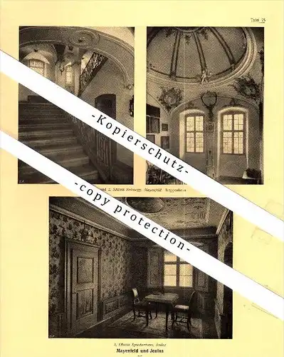 Photographien / Ansichten , 1924 , Jenins und Mayenfeld , Landquart , Prospekt , Architektur , Fotos !!!