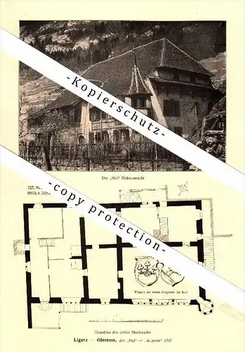 Photographien / Ansichten , 1917 , Ligerz / Gléresse , Biel , Prospekt , Fotos , Architektur !!!