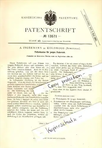 Original Patent - A. Ingermann in Koldmoos b. Apenrade / Aabenraa , 1880 , Futterkasten für Federvieh , Geflügel !!!