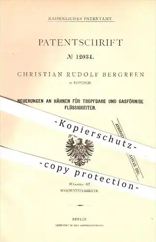 original Patent - Christian Rudolf Bergreen in Roitzsch , 1880 , Wasserhahn , Hahn , Hähne , Sandersdorf-Brehna