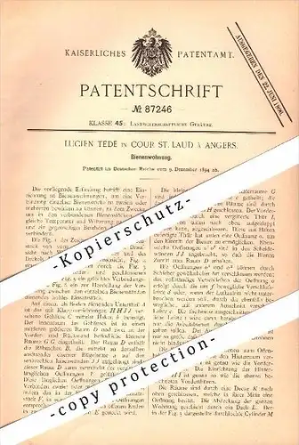 Original Patent - Lucien Tédé à Cour Saint Laud / Angers   Appartement pour les abeilles , apiculture!!!