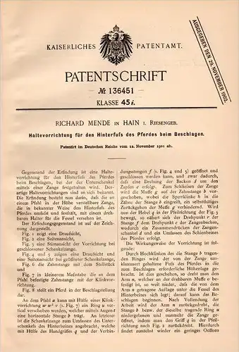 Original Patentschrift - R. Mende in Hain / Przesieka , 1901 , Apparat für Pferde , Podgórzyn , Giersdorf , Pferd !!!