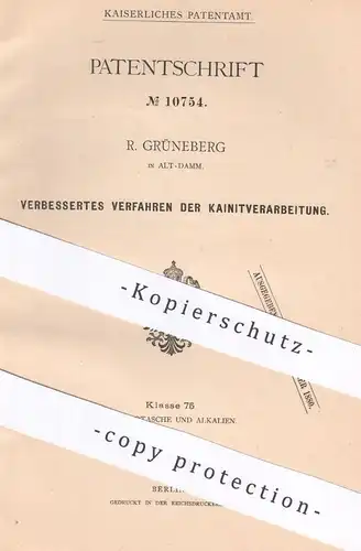 original Patent - R. Grüneberg , Alt-Damm / Stettin / Polen | 1879 | Kainit - Verarbeitung | Schönit , Chlor , Kalium