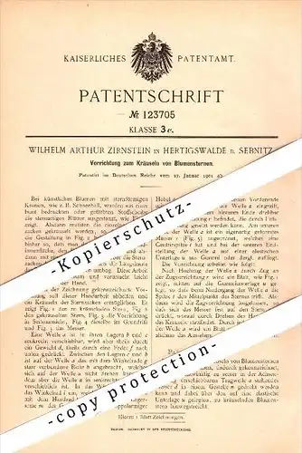 Original Patent - Wilhelm Zirnstein in Hertigswalde b. Sebnitz , 1901 , Kräuseln von Blumensternen , Blumen !!!