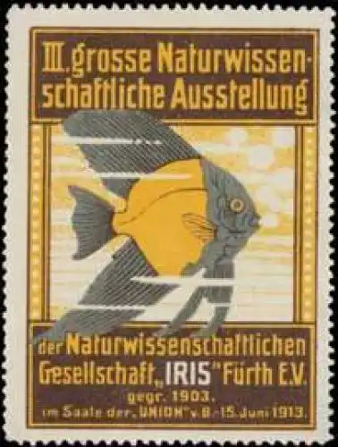 IRIS-Ausstellung