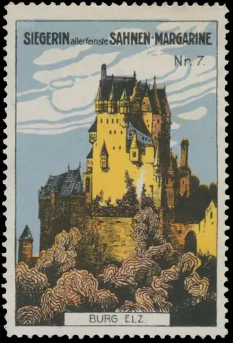 Burg Elz