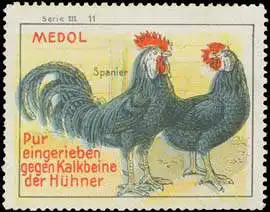 Spanier - Medol gegen Kalkbeine der HÃ¼hner