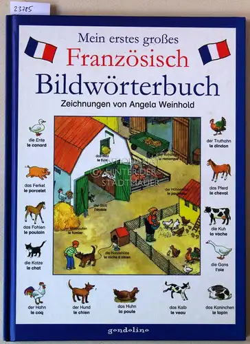 Weinhold, Angela (Ill.): Mein erstes großes Französisch Bildwörterbuch. 