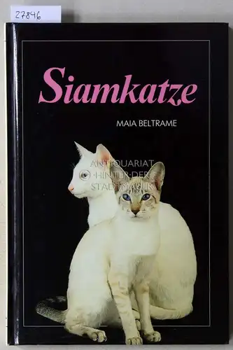 Beltrame, Maia: Siamkatze. 