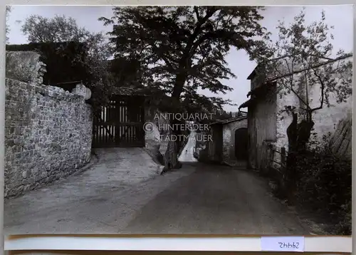 Petzold, W: Florenz. Am Weg nach Fiesole (Badia da Fiesole - S. Domenico). 