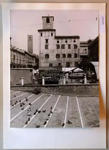 Petzold, W: Mantua. Piazza delle Erbe. 