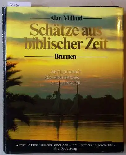 Millard, Alan: Schätze aus biblischer Zeit. 