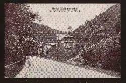 Schwarzatal. Hotel Weidmansheil