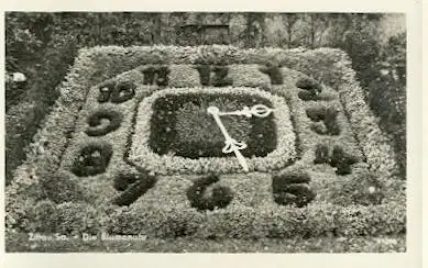 Zittau. Sa. Die Blumenuhr.