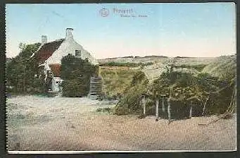 Nieuport. Dans les dunes.