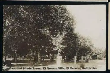USA. El Verano. California. Beautiful Shade Trees. El Verano Villa.