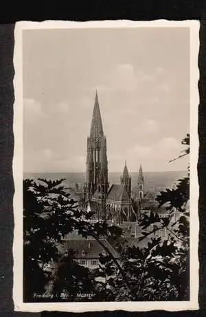Freiburg. Münster