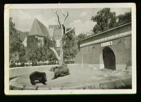 Berlin. Bärenzwinger am Köllnischen Park