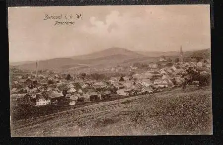 Zwiesel. Panorama