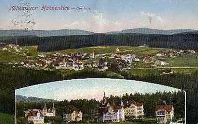 Hohneklee im Oberharz