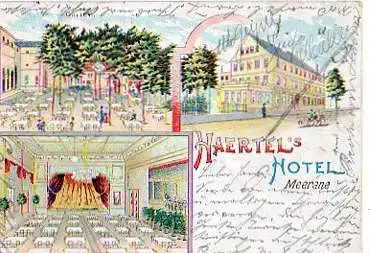 Meerane. Hartels Hotel. Litho.