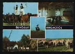 x01912; Udvozlet, Bugac.