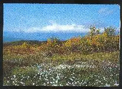 x03276; Norway. Autumn on the Finnmark plateau.