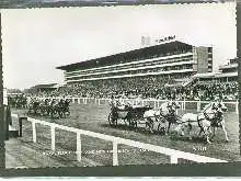 x04595; Royal procession and new grandstand Ascot.