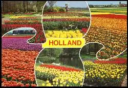 x05561; Holland.