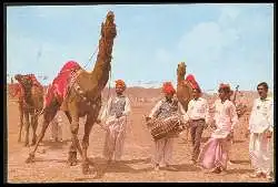 x05834; Pakistan. DANCING CAMEL.