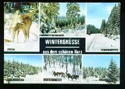 x06633; Harz. Wintergrüsse.