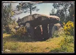 x06858; Carnac. Allee couverte de ManeKerioned.