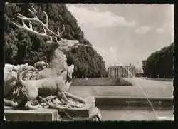 x07270; SCHWETZINGEN. Deutschlands schönster Schlossgarten Hirschgruppe.