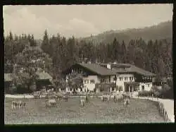 x07816; Elmau. Gasthaus Alpengut.