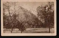 x08516; Zerbst. Francisceum (Promenadenseite).