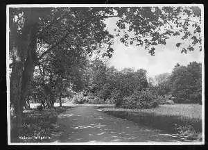 x09064; Weimar. Parkpartie.