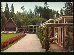 x09584; Braunlage/Oberharz. Im Kurpark.