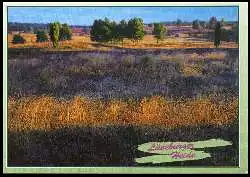 x11228; Lüneburger Heide, Naturschutz.