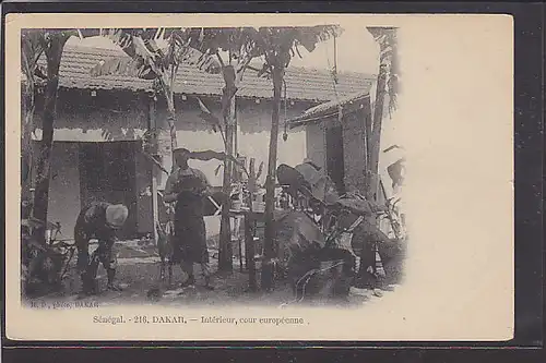 AK Senegal - Dakar - Intrieur cour europeenne 1930