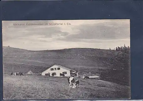 AK Melkerei Kahlenwasen im Münstertal i. Els. 1920